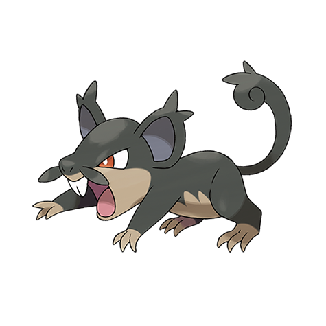 Rattata official artwork
