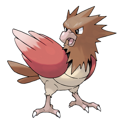 Spearow official artwork