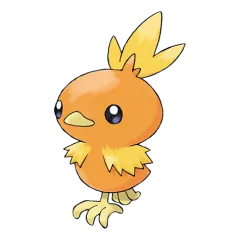 Torchic